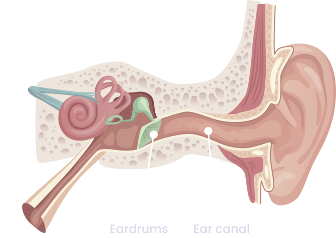 ear canal