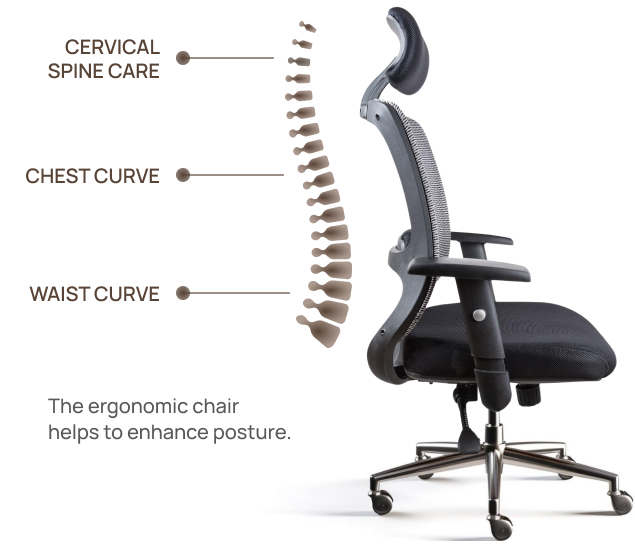 ergonomic chair helps to enhance posture
