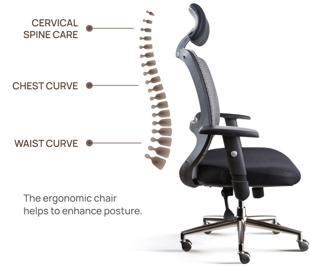 Bod Support Lumbar Support for Office Chair & Car Back Support for Lower Back Pain Relief Healthy Posture and Improved Productivity - Includes des