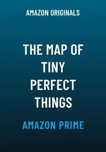 THE MAP OF TINY PERFECT THINGS - img new
