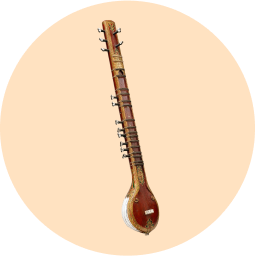 raga-instrument-1