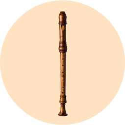 raga-instrument-3