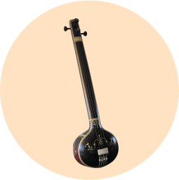 raga-instrument-4