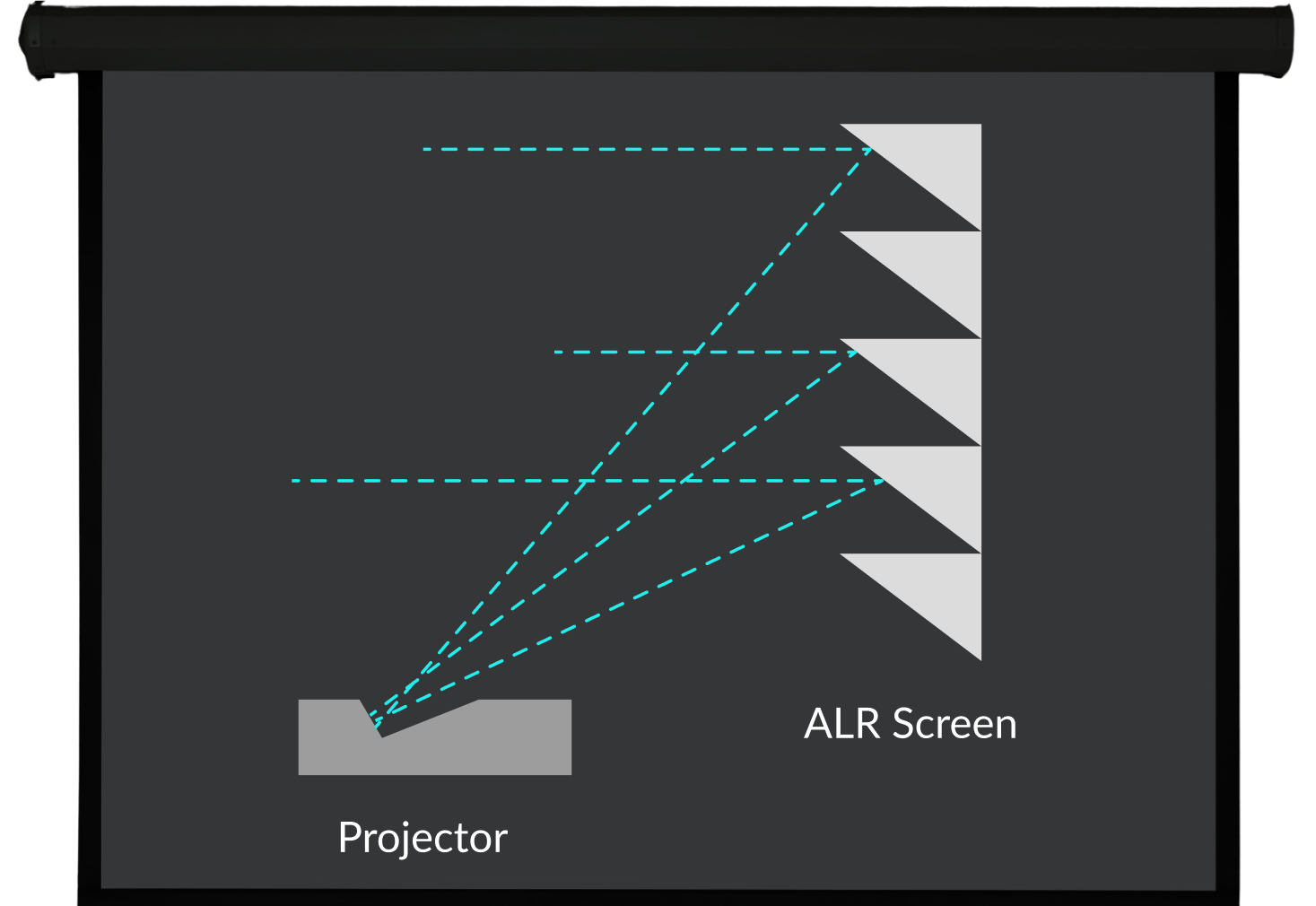 ALR screen