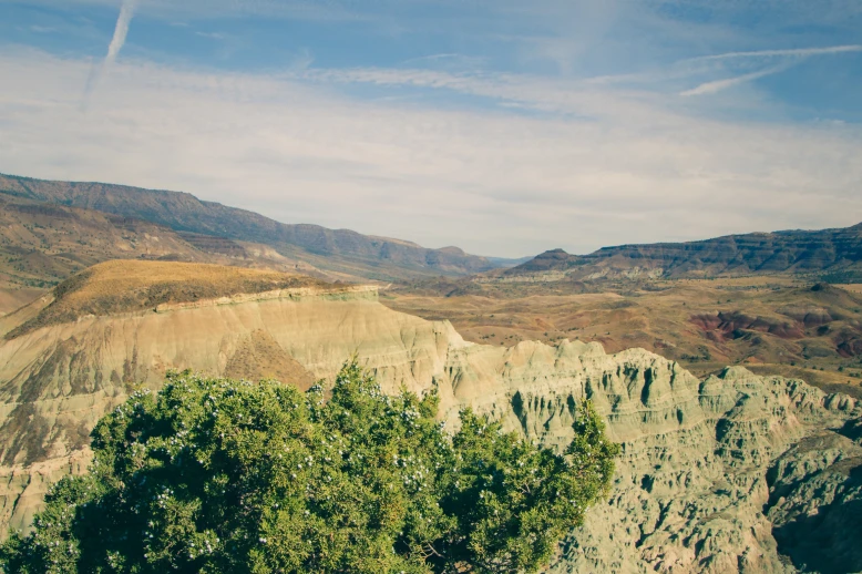 Absorption Vegetation_