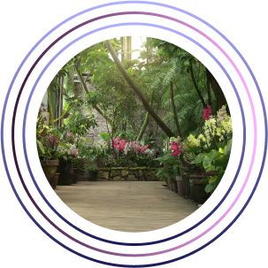 Design and Integration 2