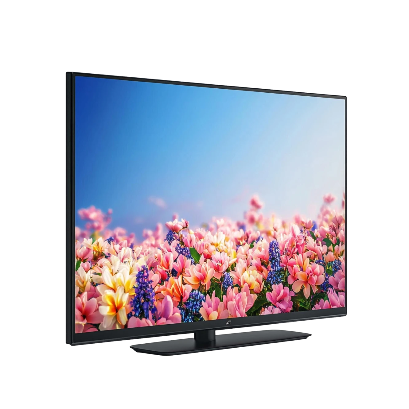 Outdoor-rated TVs Image