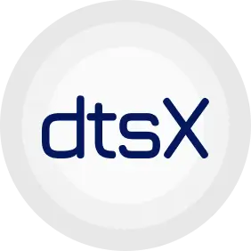 dts_x