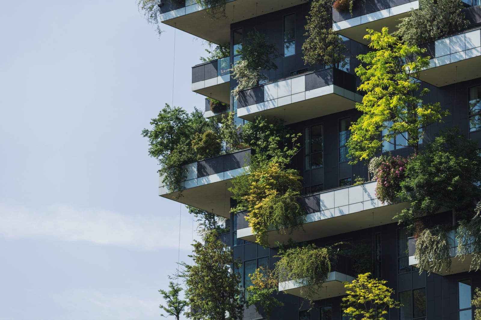 environmental writing - living green