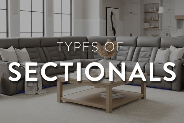 TYPES OF SECTIOANLS FEATURE IMAGE