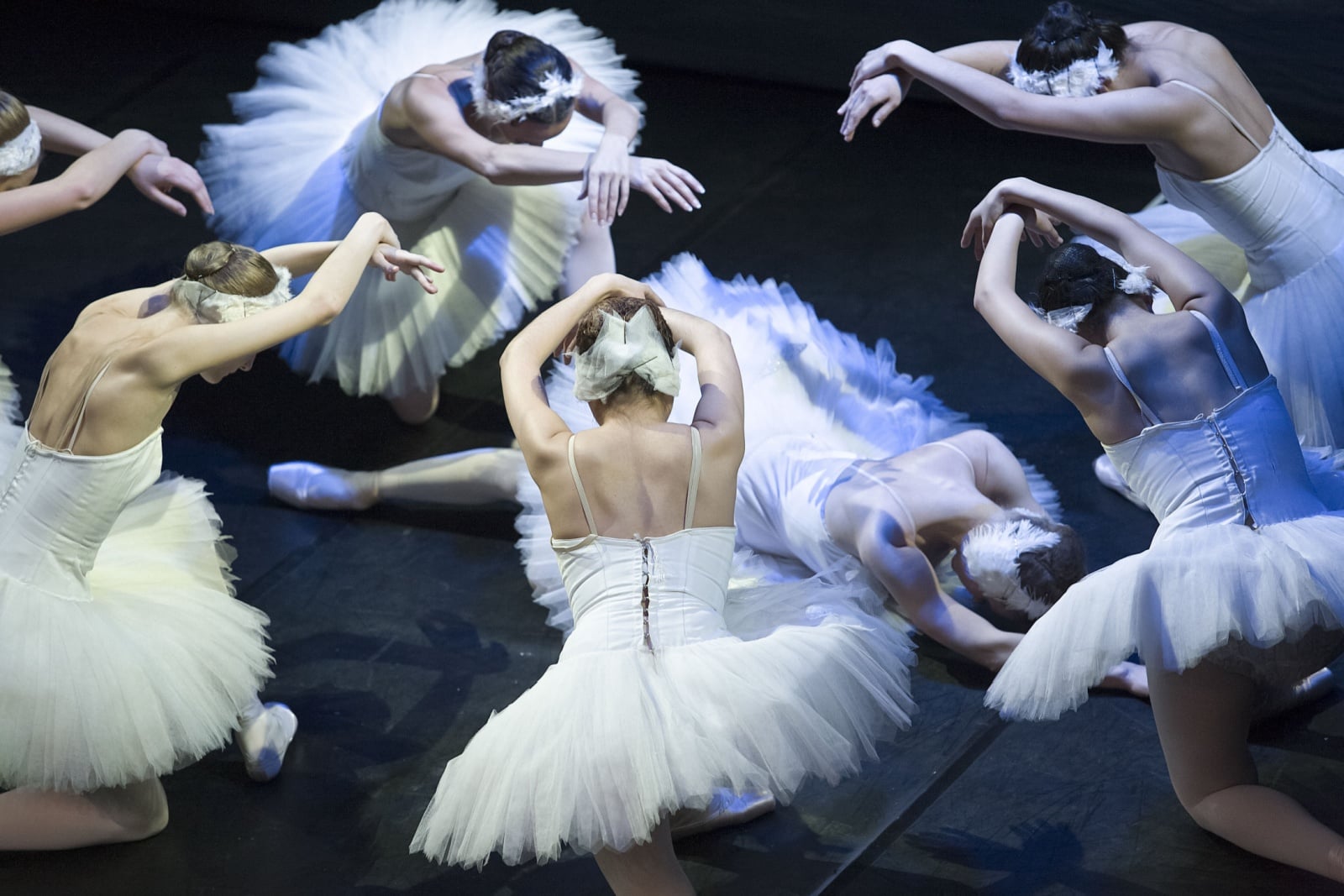 ballet guide - ballet costumes