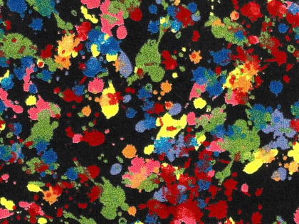 Splatter Paint